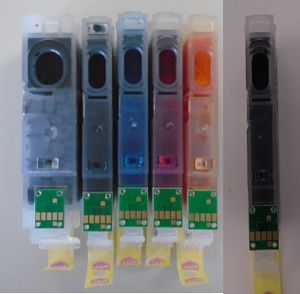 300px-Compatible_Canon_PGI-550___CLI-551__Bottom_View_3.jpg