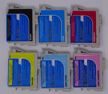 350px-N_-_Compatible_Epson_T048__Side_View_.jpg